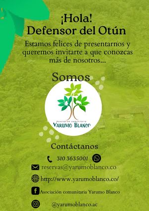 Asociación Comunitaria Yarumo Blanco