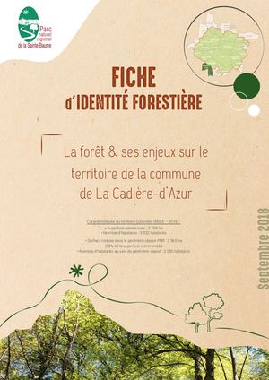 Fiche Foret La Cadiere Vdef