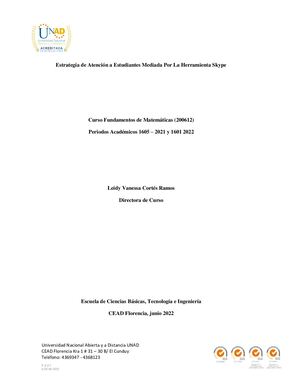 Informe De Uso De Herramienta Skype