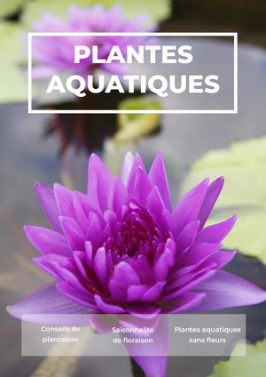 Catalogue Plantes Aquatiques 2022