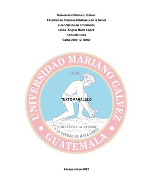 Teorias Y Modelos Karla Martinez (1)