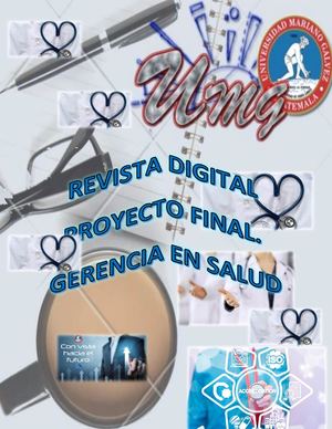 Proyecto Final Gerencia En Salud Rosa Sica