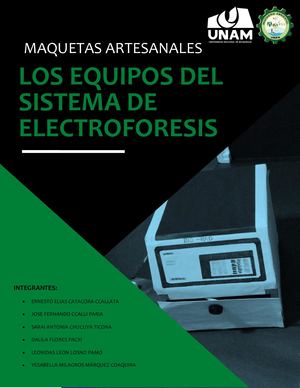 Maquetas Artesanales Los Equipos Del Sistema De Electroforesis (2)