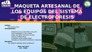 Maqueta Artesanal De Los Equipos Del Sistema De Electroforesis