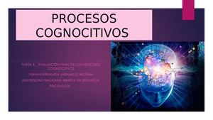 Procesos Cognocitivos Precentacion Calameo