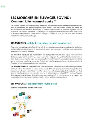 Comment lutter vraiment contre les mouches