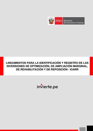 Lineamientos Ioarr