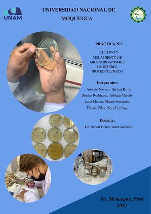 Practica N2 Informe De Laboratorio Cultivo Y Aislamiento De Microorganismos De Interés Biotecnológico