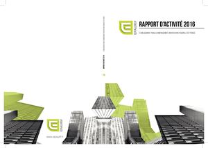 Rapport Activite 2016