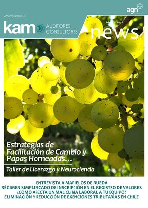 News-Letter N 2 KAM Auditores&Consultores