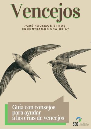 Ayuda A Los Vencejos R