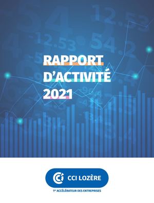 Rapport d'activité 2021