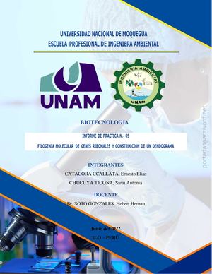 Informe Filogenia Merged