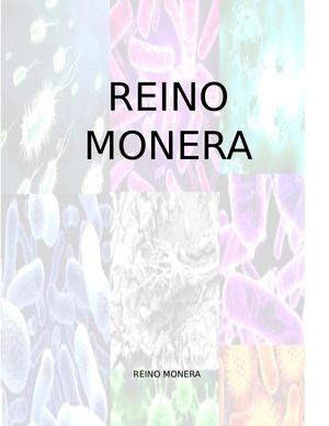 Album De Los Reinos