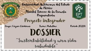 Dossier Equipo 4