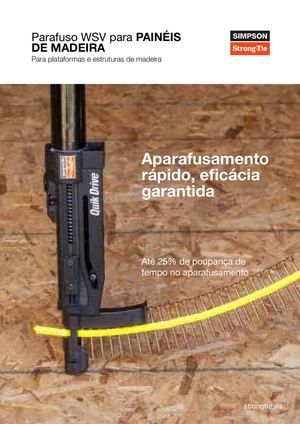 Flyer Wsv PT