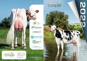 Catalogue Holstein éTé 2022 Coopel
