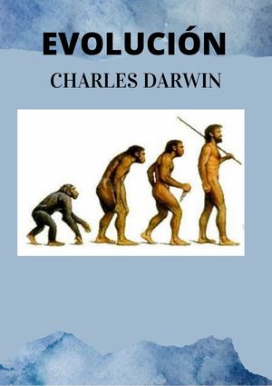 Evolución