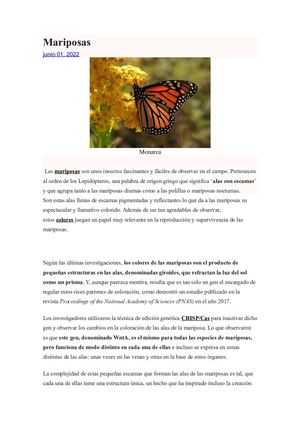 Mariposas