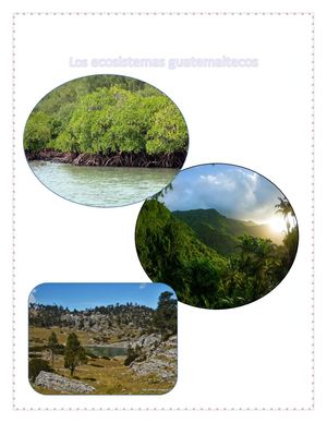 Revista De Los Ecosistemas Guatemaltecos