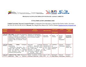 Planificacion De Estetico Ludico