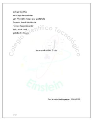 Maracuya Amarillo(passiflora Edulis)