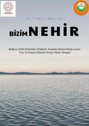 Nehir (1)