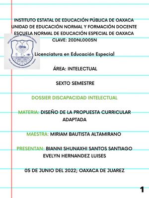 Dossier Discapacidad Intelectual