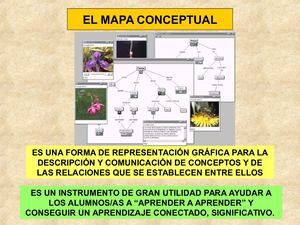 El Mapa Conceptual
