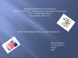 Aspectos Teoricos De La Contabilidad