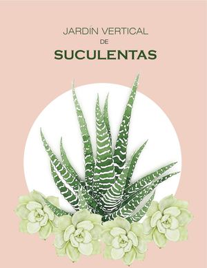 JARDIN VERTICAL -SUCULETAS