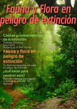 revista