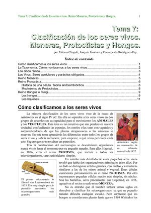 1 Tema 07 Clasificacion Ssvv