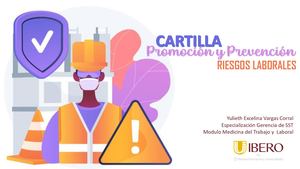 Cartilla De Pyp En Sst