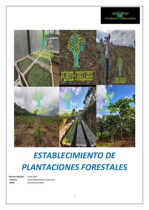 Establecimiento De Plantaciones Forestales