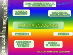 Sistema Endocrino Ppt