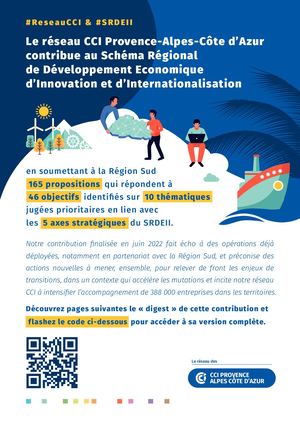 Contribution CCI au SRDEII (en bref)