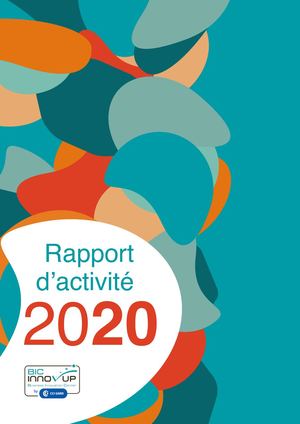 Rapport d'activité BIC Innov'up 2020
