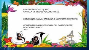 Psicomotricidad Y Juego