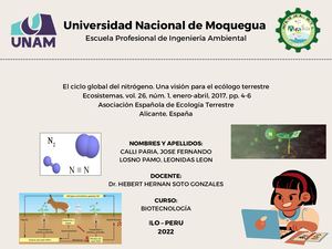 Mapa Conceptual El Ciclo Global Del Nitrogeno