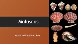 Moluscos