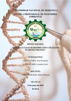 Endonucleasas De Restricción Utilizadas En Biotecnología