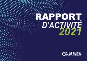 Rapport D'activité 2021 Gcs Sara