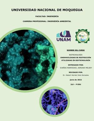 Endonucleasas De Restricción Utilizadas En Biotecnología Adriana Dueñas