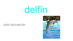 Delfín