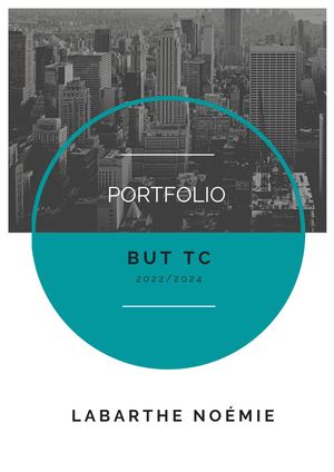 Portfolio Noémie Labarthe Tc14b (1)