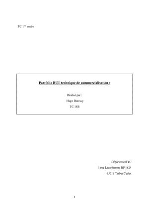 Portfolio Hugo Daressy