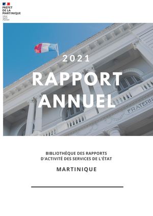 Rapport D'activite 2021