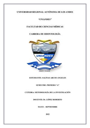Mi Segunda Revista