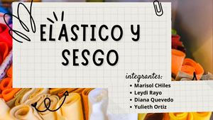 Elástico, Sesgo, Tancas Y Broches